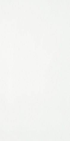 FIANDRE DATAUNI 000 UNIICE NATURALE 120X60-DTUFT01X864