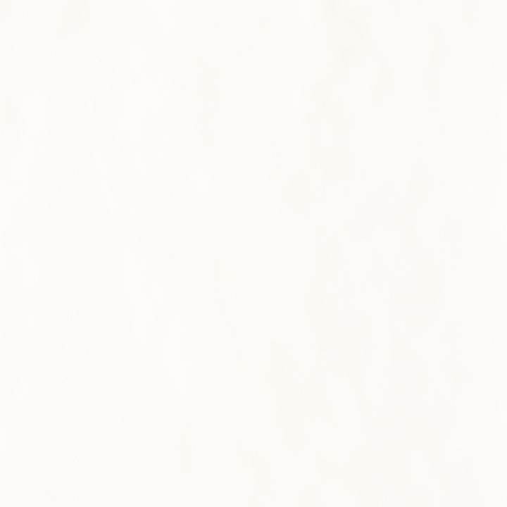 PANARIA EVEN SNOW RTT 4*35x100-PBFEV50