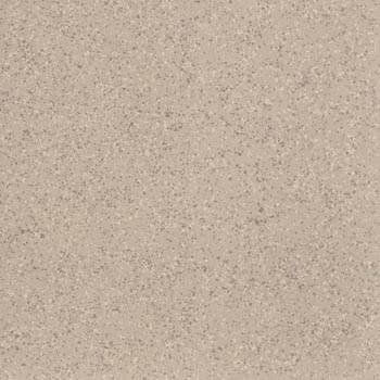 IMOLA PARADE Beige Nat. 120x120 ( cod.art. PRDE 120B RM ) Nat. Opaco-PRDE120BRM