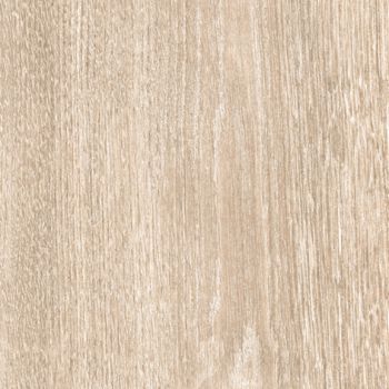 CAESAR MM.CHIC STAVE-AFOO