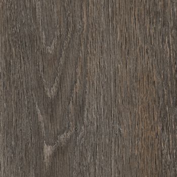 CAESAR MM.ECLEC.STAVE-AFOQ