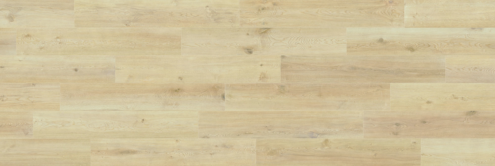 CAESAR RR.ALMON.20X120 RT-AHG8