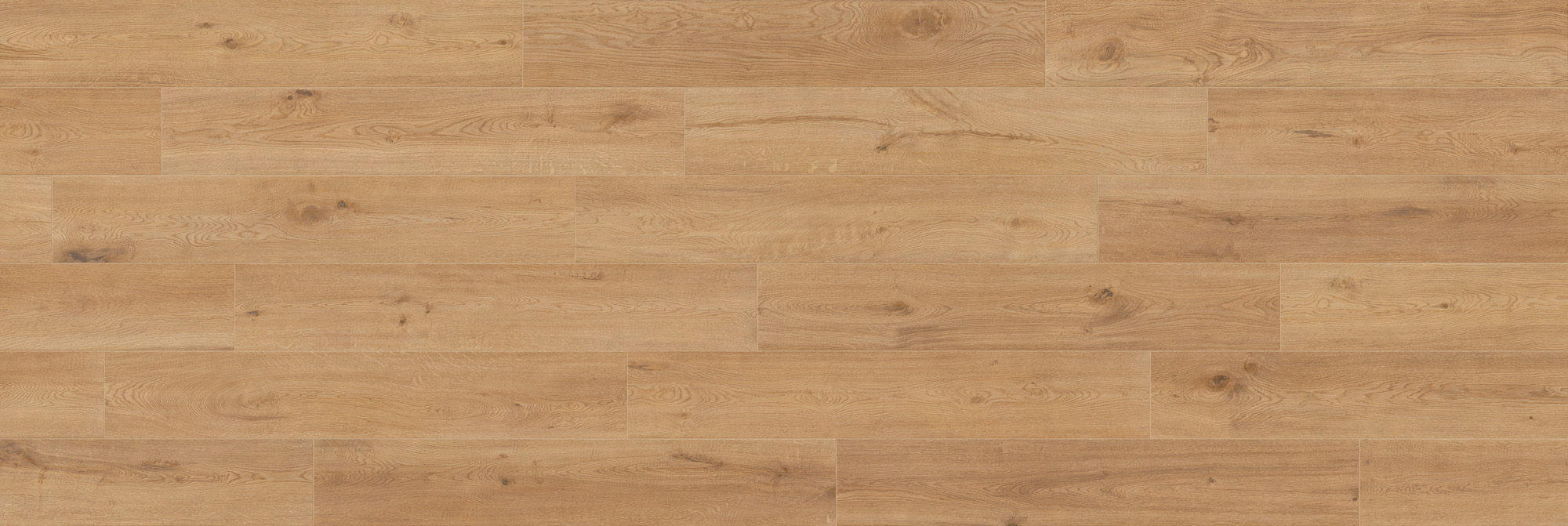 CAESAR RR.WHEAT 20X120 RT-AHHB