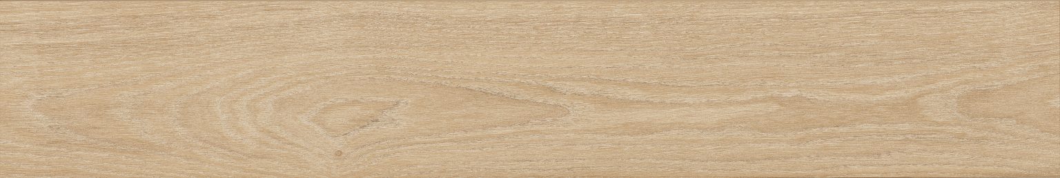 NAXOS AUTHENTIC RAW NAT.RET. 20X120-0140106