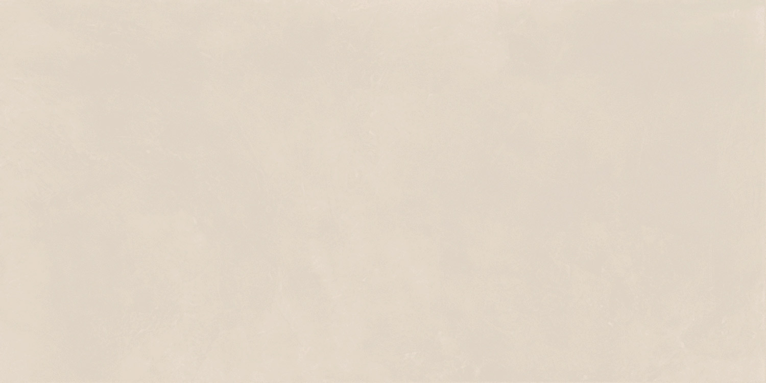 NAXOS PIGMENTA CLASSIQUA NAT.RET. 60X120-0140951