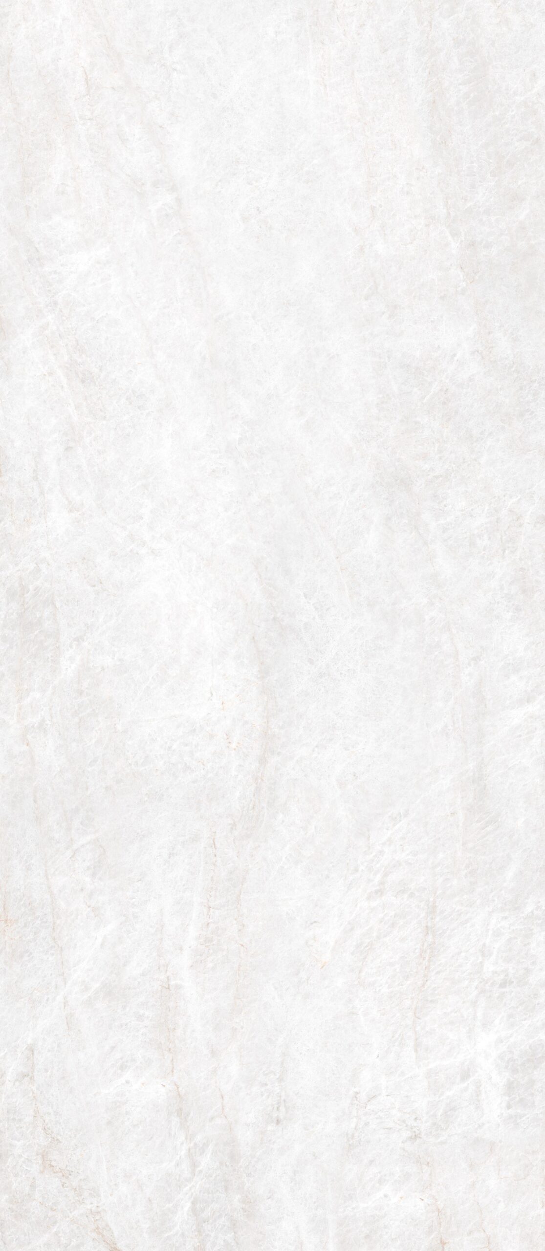 ENERGIEKER LCP TAJ MAHAL SHELL 60x120-L11TAJSH