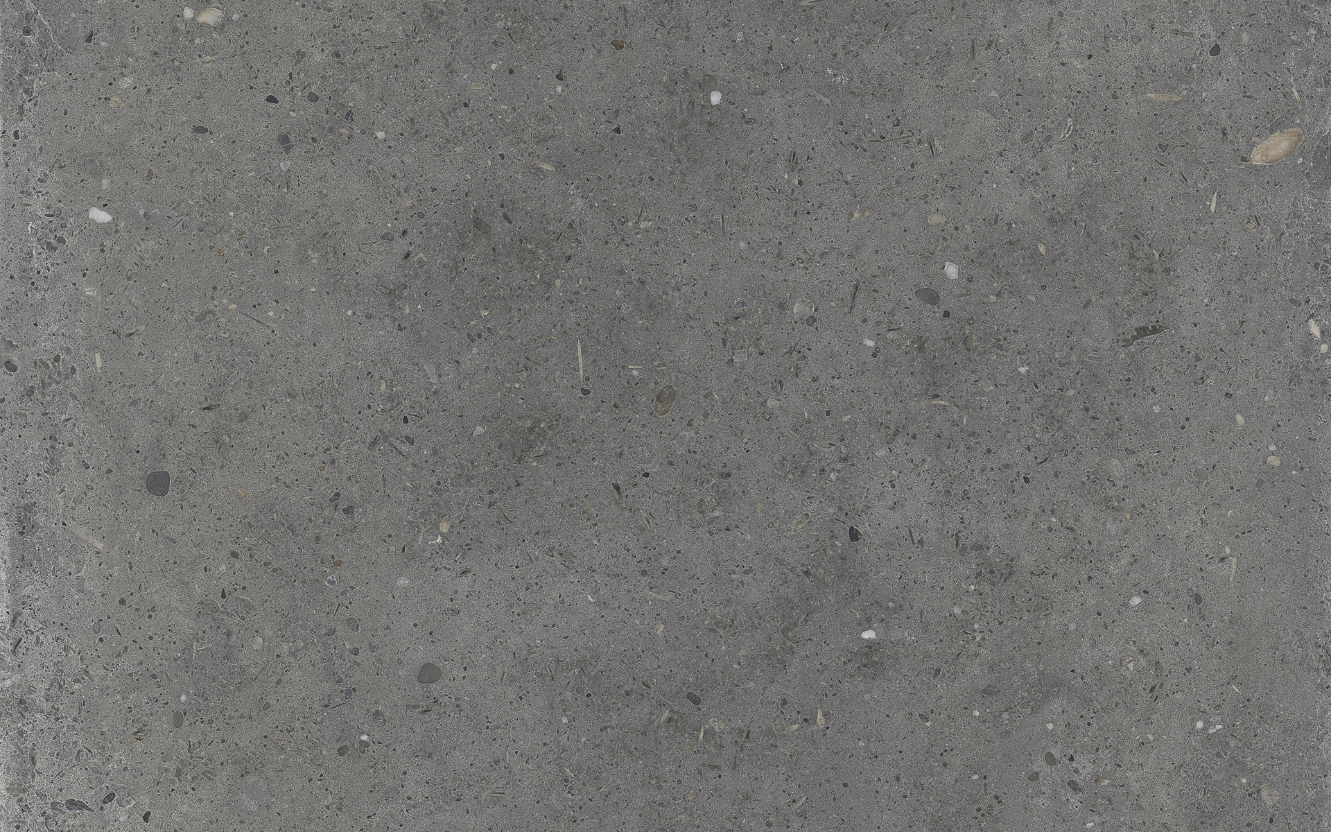IRIS CERAMICA WHOLE STONE GREY ANTISLIP SQ. 60X30-863725
