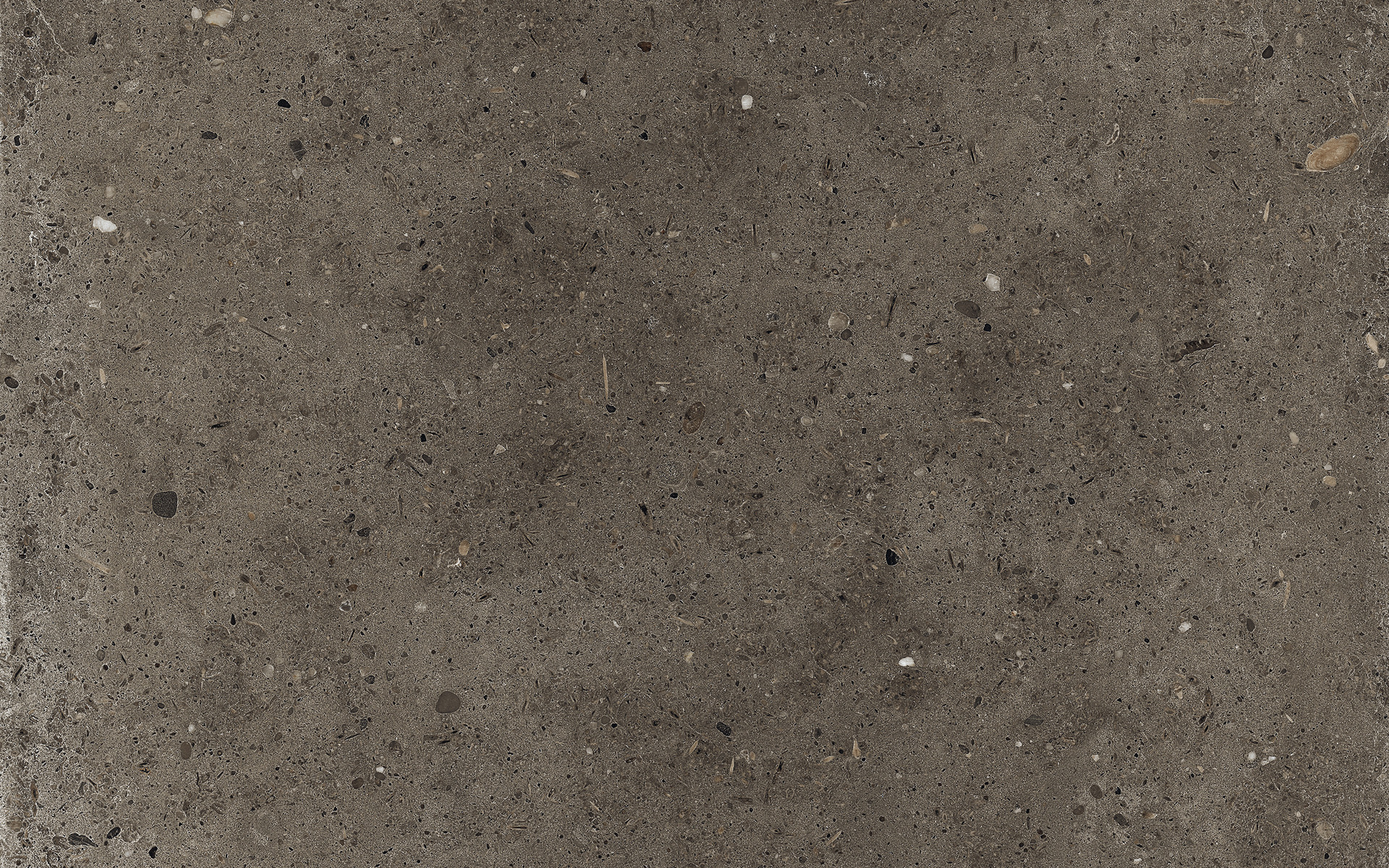 IRIS CERAMICA WHOLE STONE TOBACCO ANTISLIP SQ. 120X60-892724