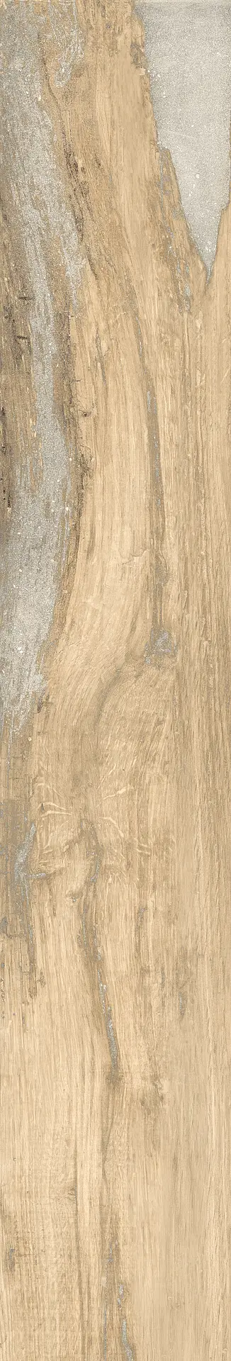 RONDINE INFUSION BIRCH RET H20 40x120-J90381