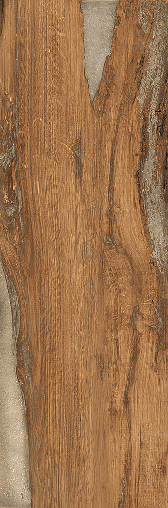 RONDINE INFUSION OAK RET H20 40x120-J90382
