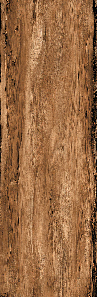 RONDINE SHERWOOD WALNUT RET H20 40x120-J90402