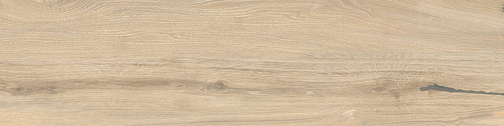 RONDINE TIMELESS ECRU RET 20x120-J89647