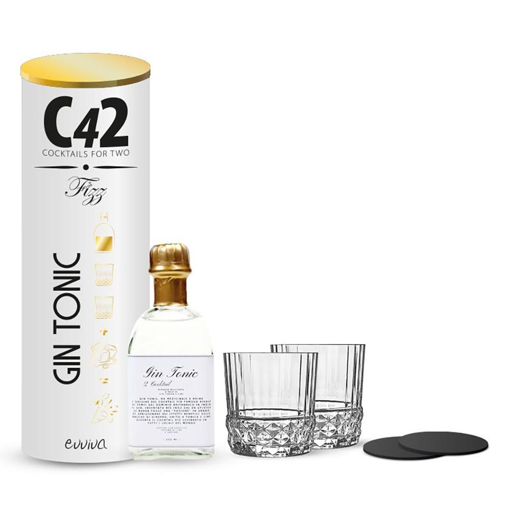 EVVIVA FRIZZ COCKTAILS FOR TWO GIN TONIC