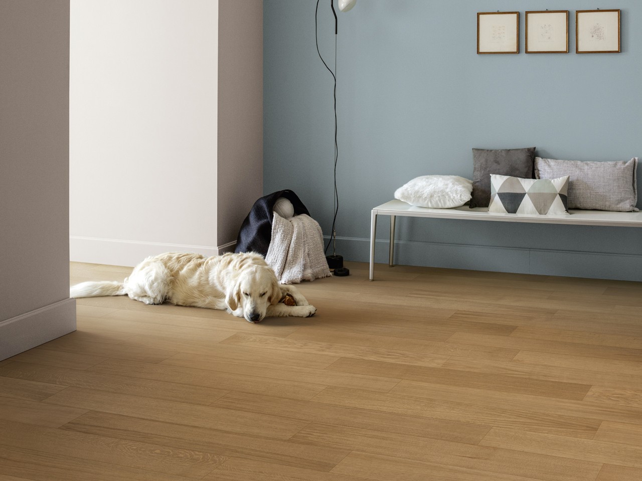 Plancia in Rovere Naturale con Base in Sughero - Greenhome Cognac-72076