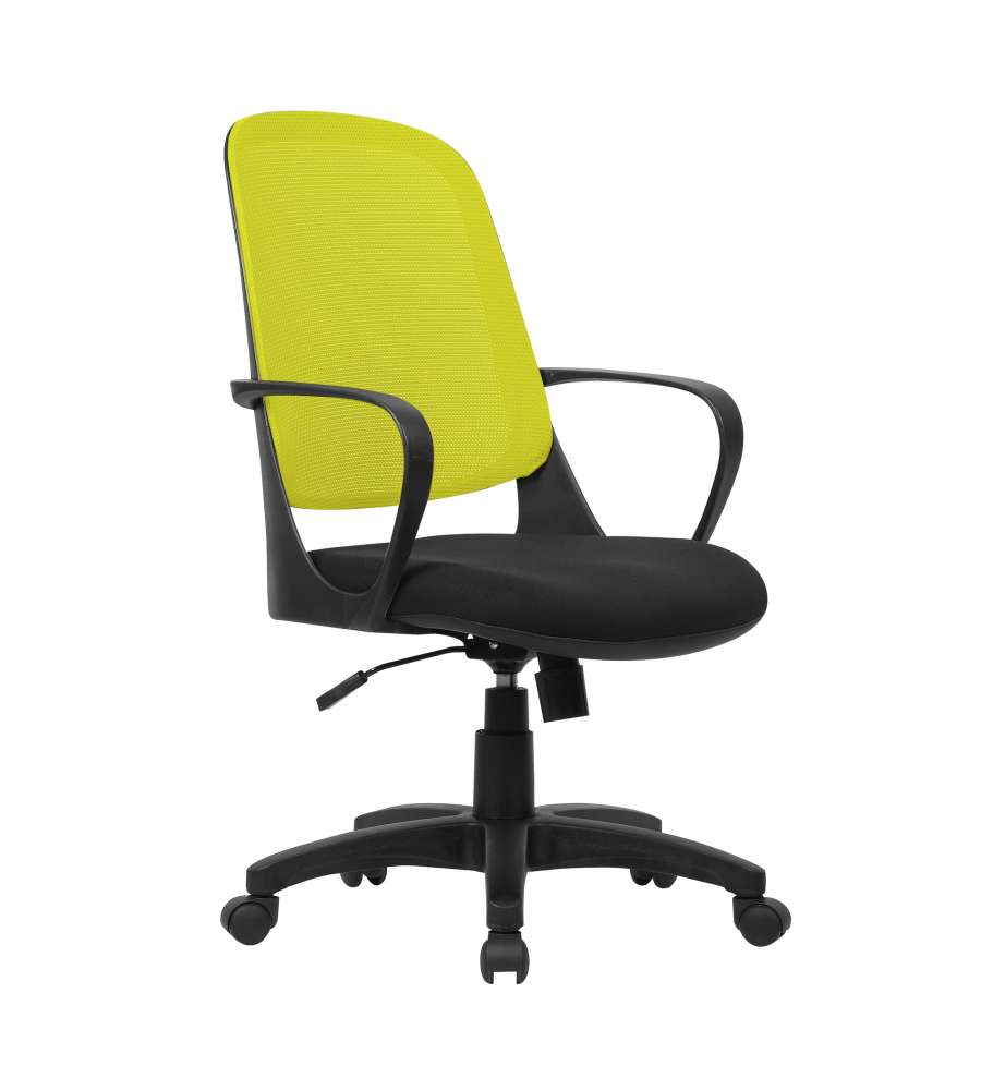 Washington Sedia Operativa Rete - Limone