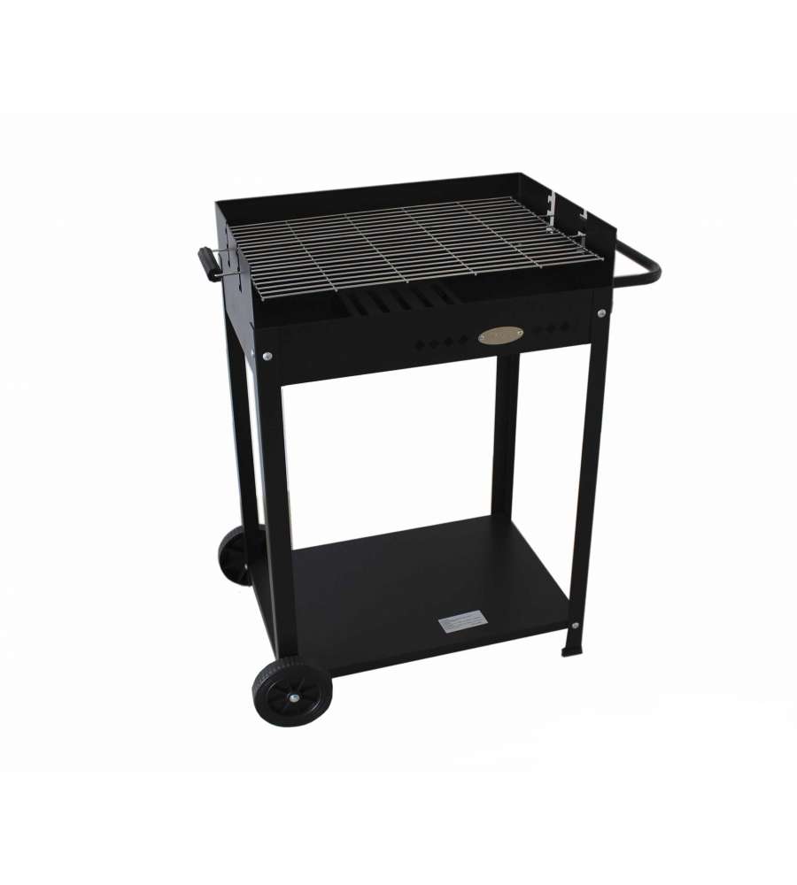 Barbecue Torino regolabile a carbone