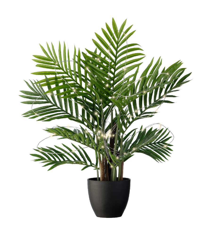 Luci solari per piante