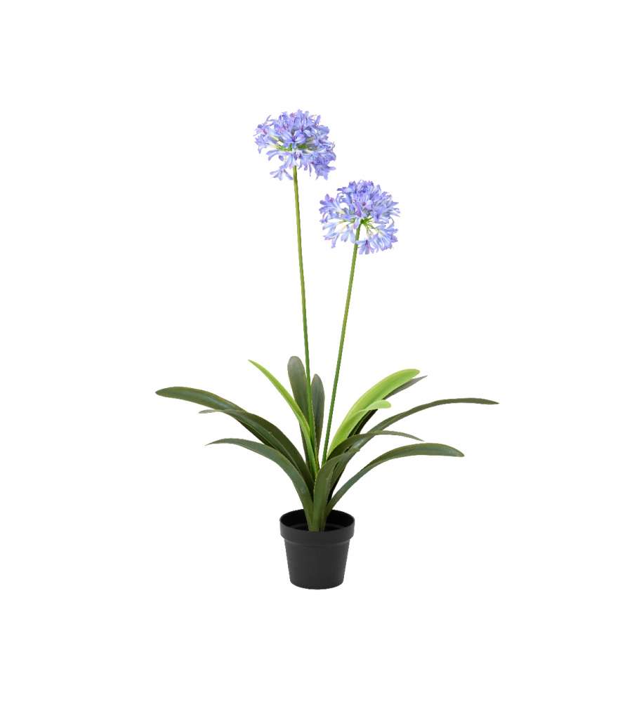 Agapanthus artificiale in vaso