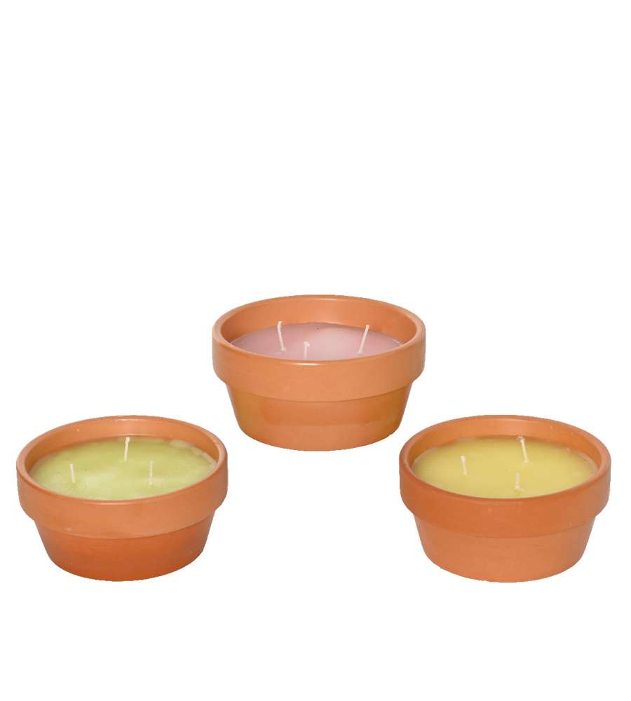 Citronella in vasetto di terracotta