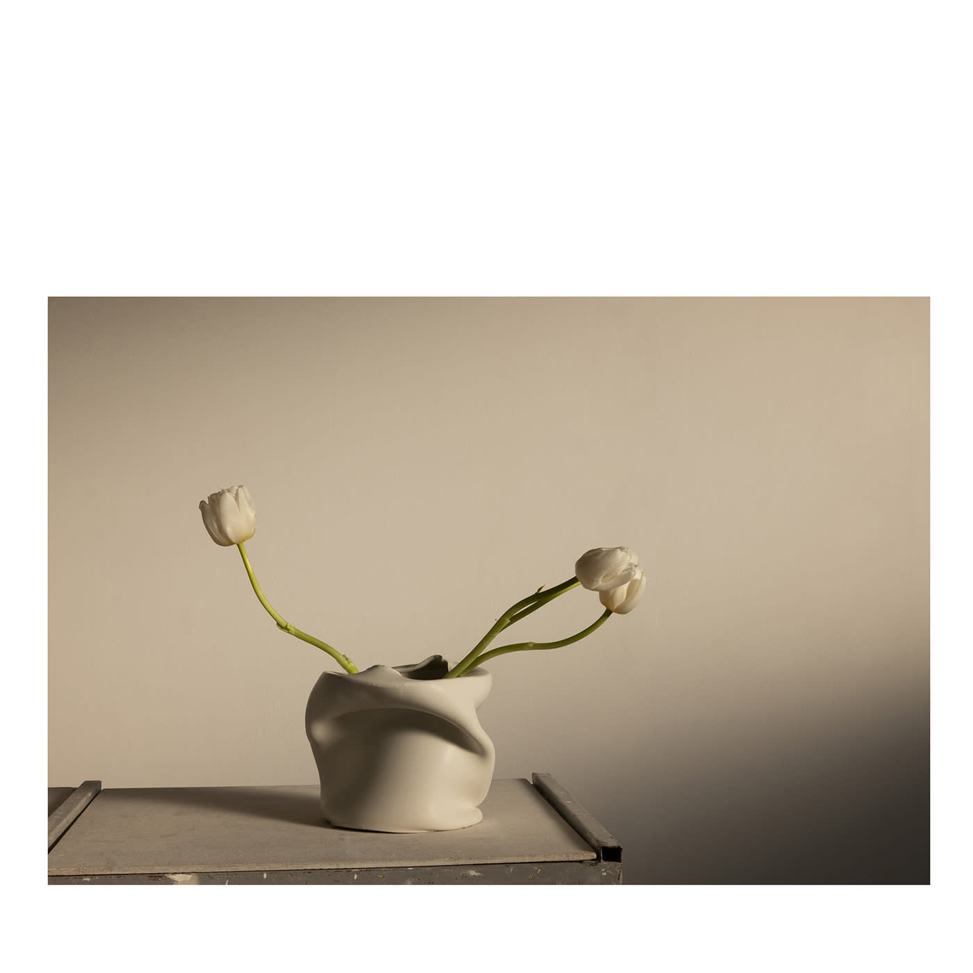 Tulipani a Pove Fotografia in edizione limitata