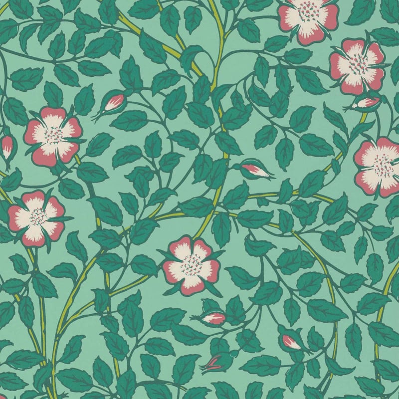Carta da parati Briar rosa  Little Greene