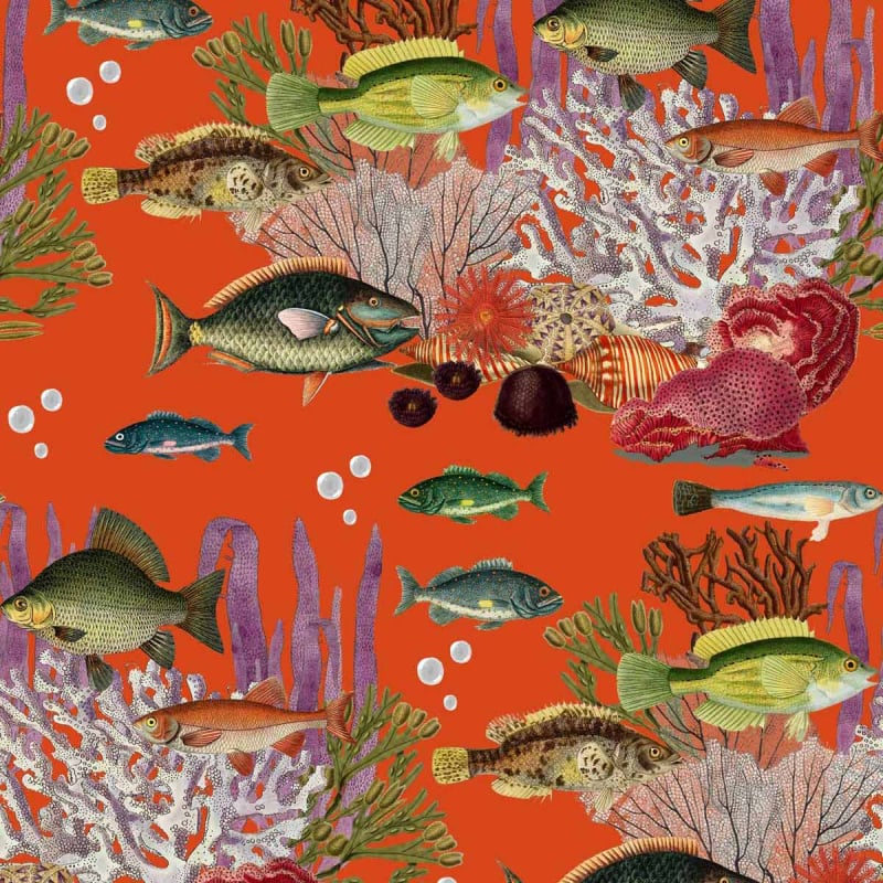 Carta da parati Corales Gastón y Daniela