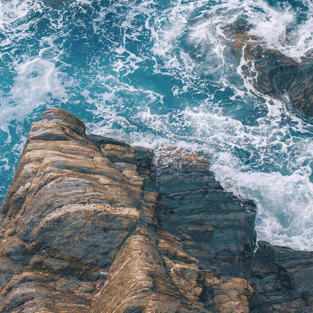 ACAPULCO Carta da Parati serie Nature Creativespace