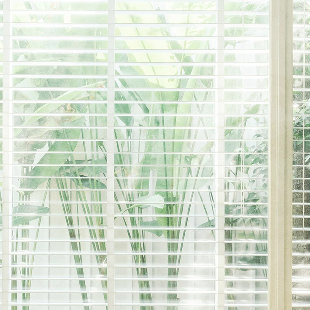 BEYOND Carta da Parati serie Nature Creativespace