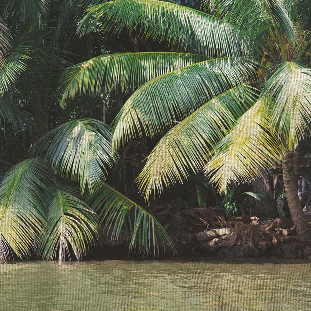 AMAZON Carta da Parati serie Nature Creativespace