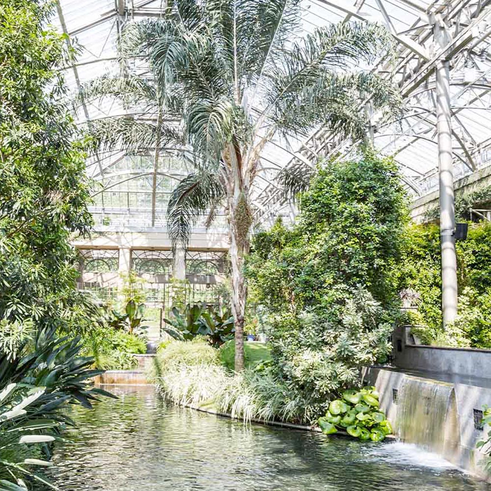 SIERRA Carta da Parati serie Nature Creativespace