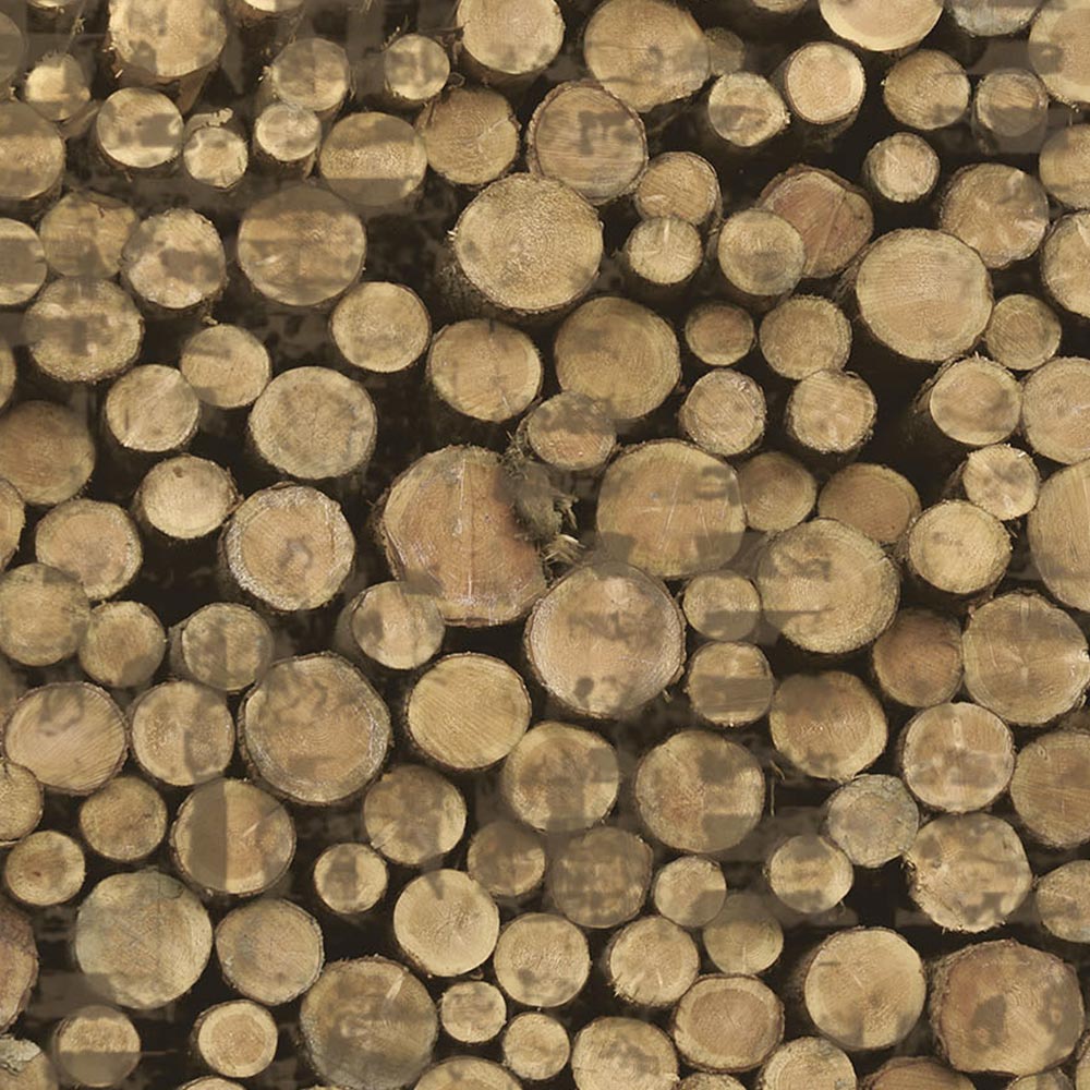 WOOD Carta da Parati serie Nature Creativespace