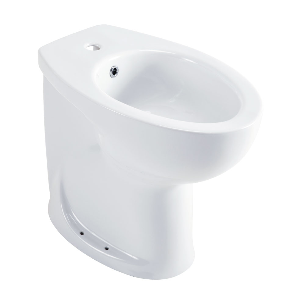 Bidet sanitario Ponte Giulio