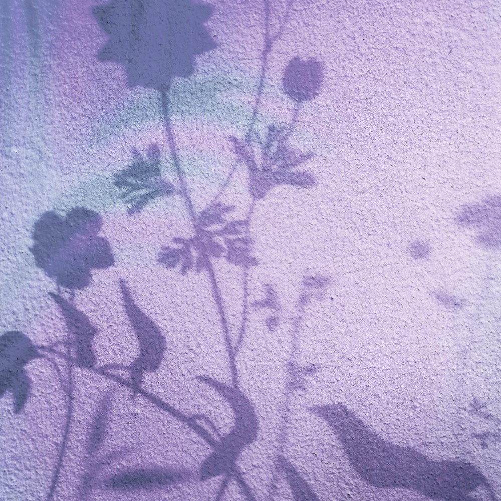 10 Carta da Parati serie Pattern Creativespace