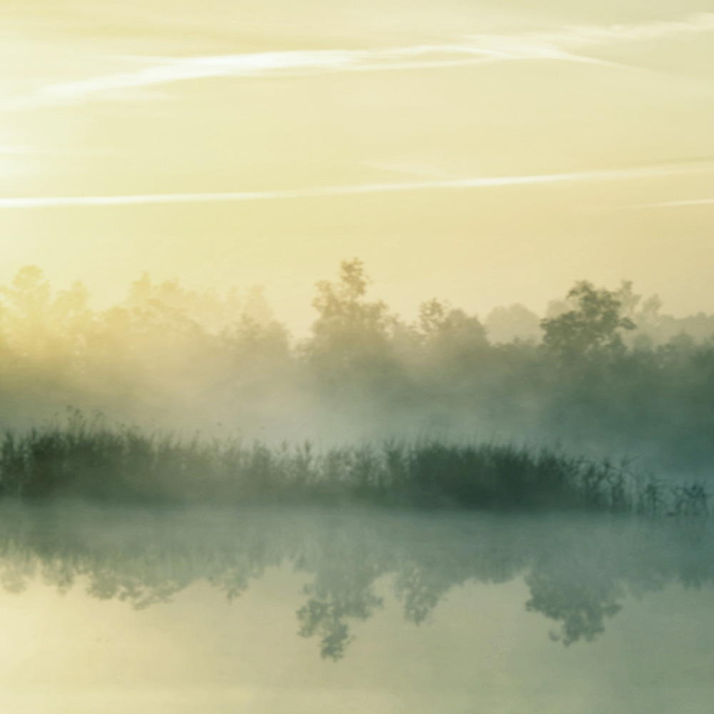MIRROR Carta da Parati serie Nature Creativespace