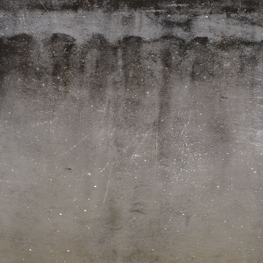 SPONGE Carta da Parati serie Pattern Creativespace