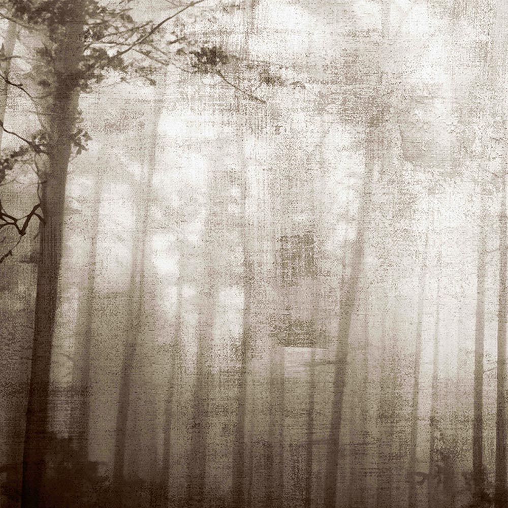 ACCENT Carta da Parati serie Nature Creativespace