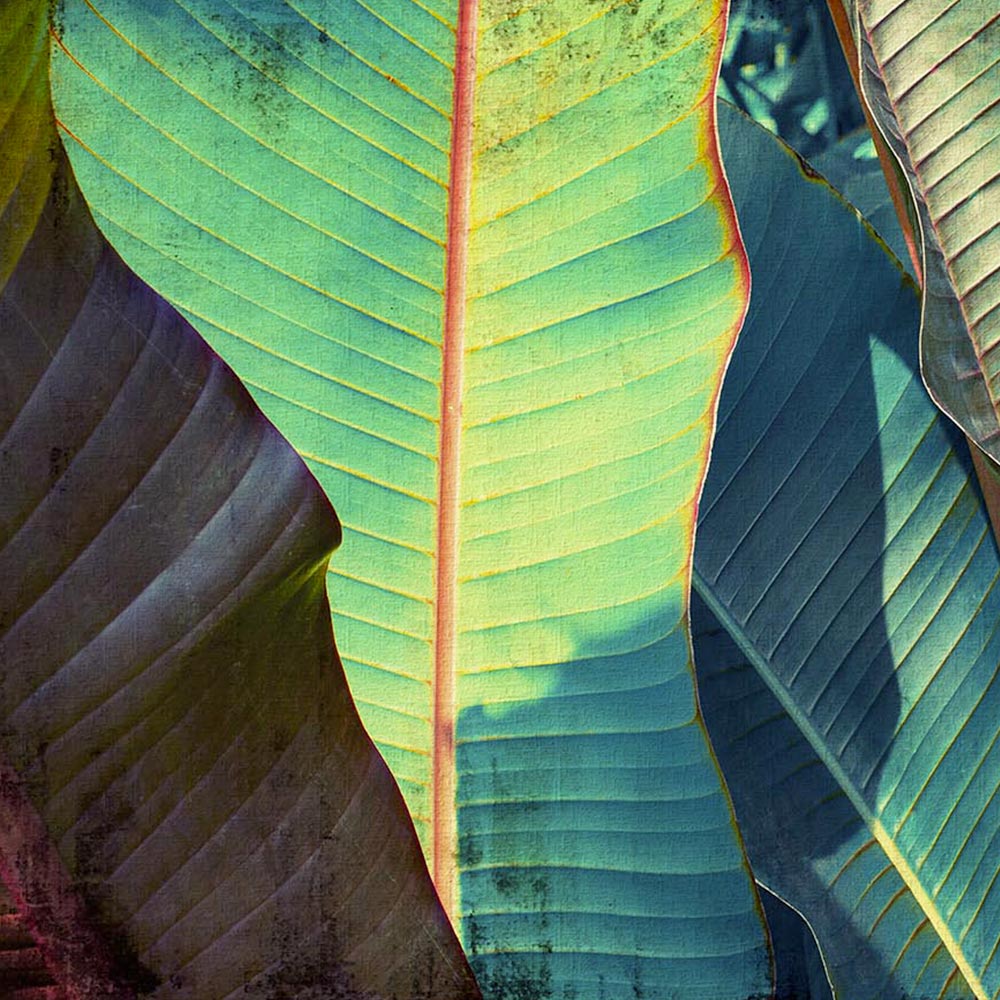 ZOOM Carta da Parati serie Nature Creativespace