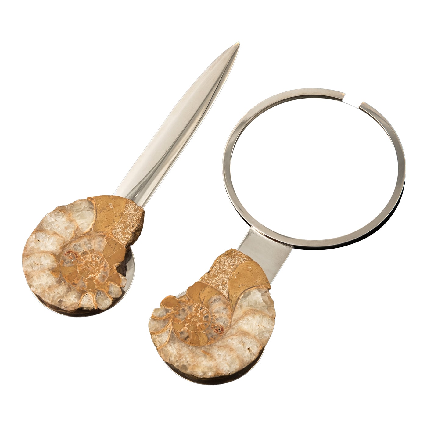 Set di coltelli di carta e lenti d'ingrandimento Fossiline di Nino Basso #4