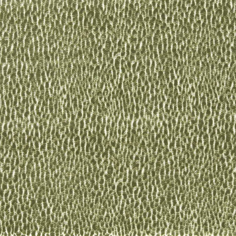 Velluto Lacuna  Harlequin