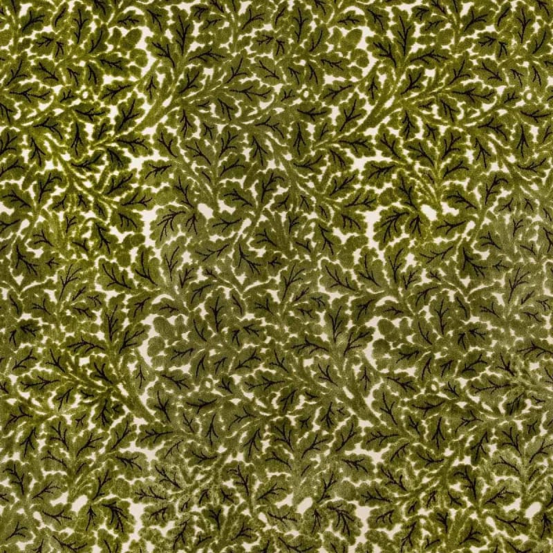 Velluto Quercus  House of Hackney