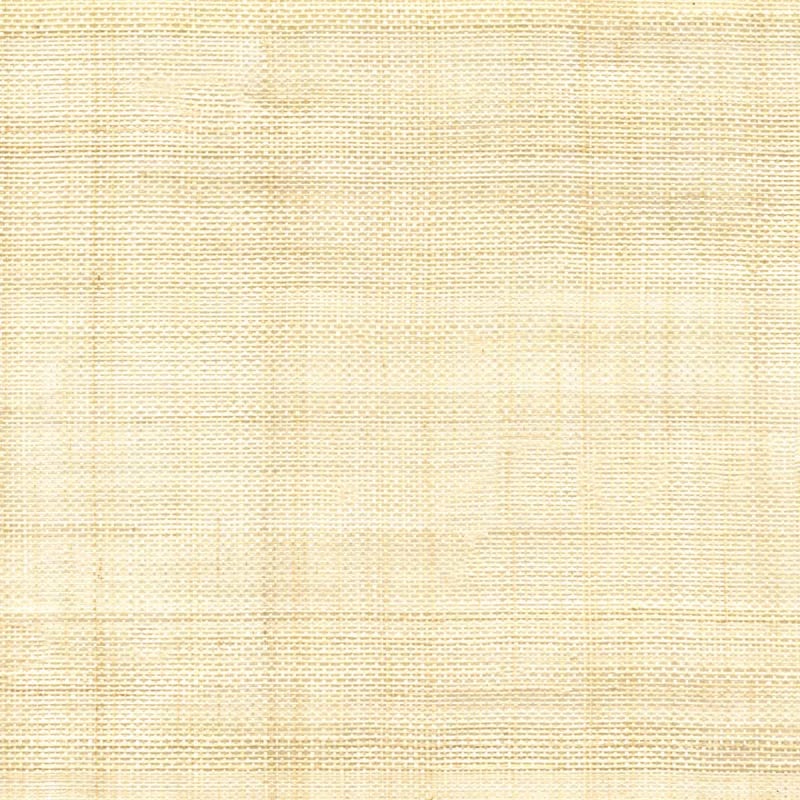 Velo Abaca Light  CMO Paris