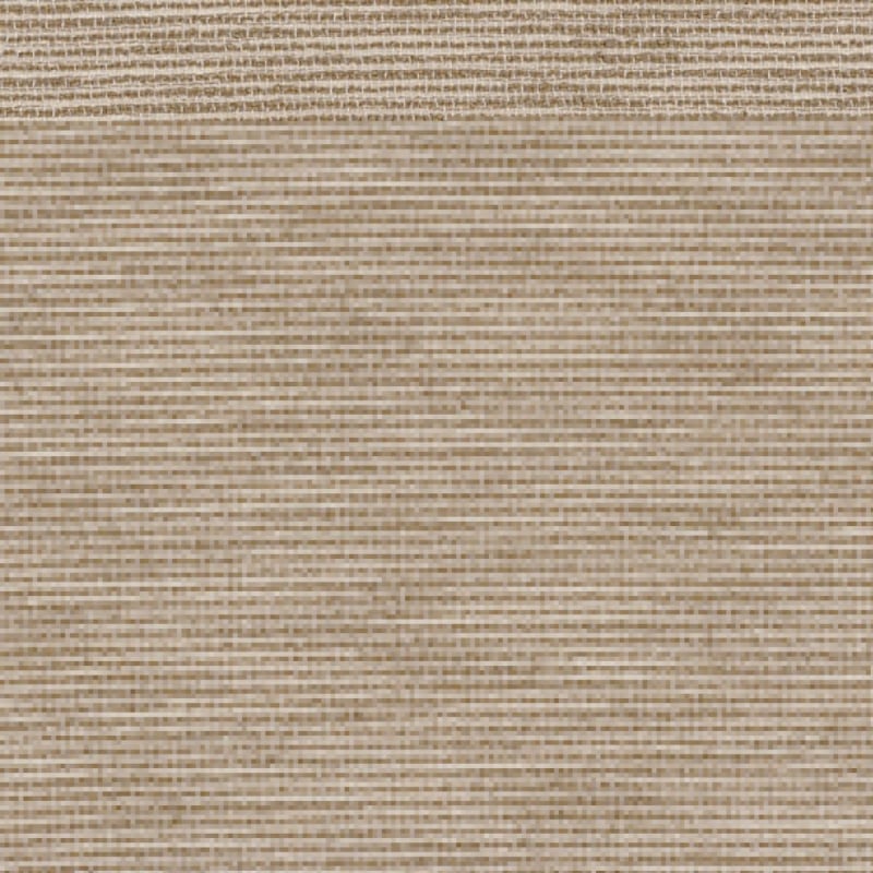 Velo Attraction  Casamance